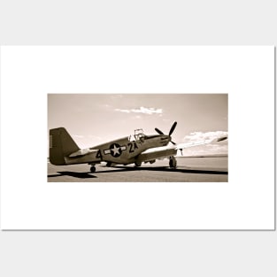 Tuskegee P-51 Mustang Vintage Fighter Plane Posters and Art